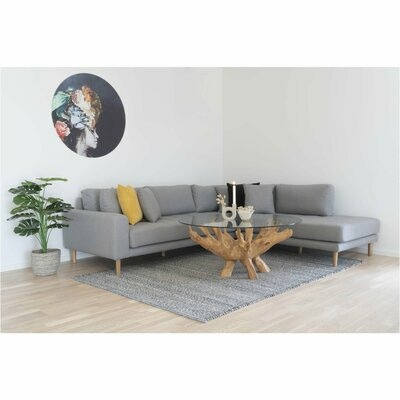 Amazonas Coffee Table in room